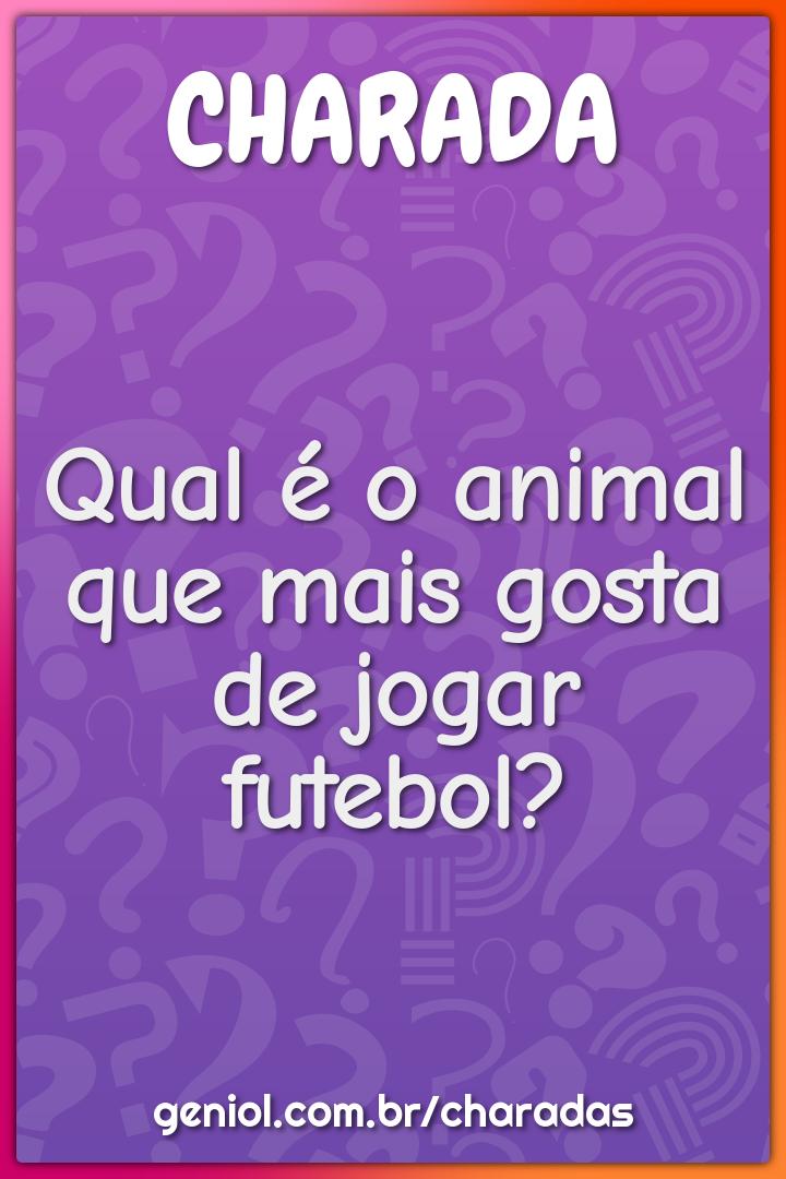 Qual é o animal que mais gosta de jogar futebol?