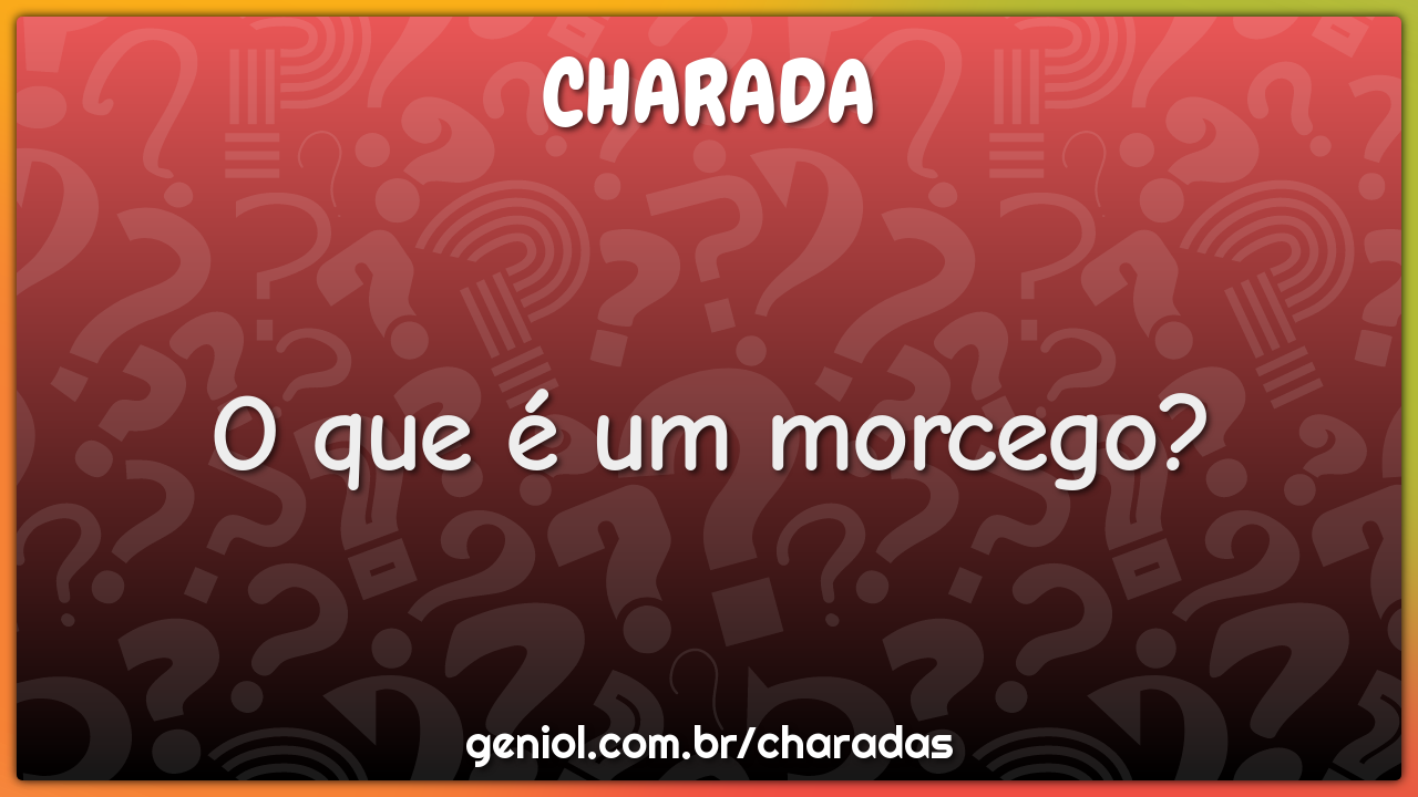O que é um morcego?