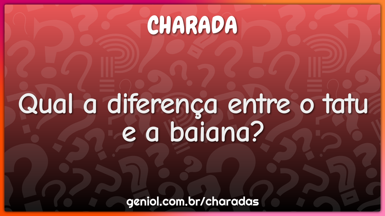 Qual a diferença entre o tatu e a baiana?