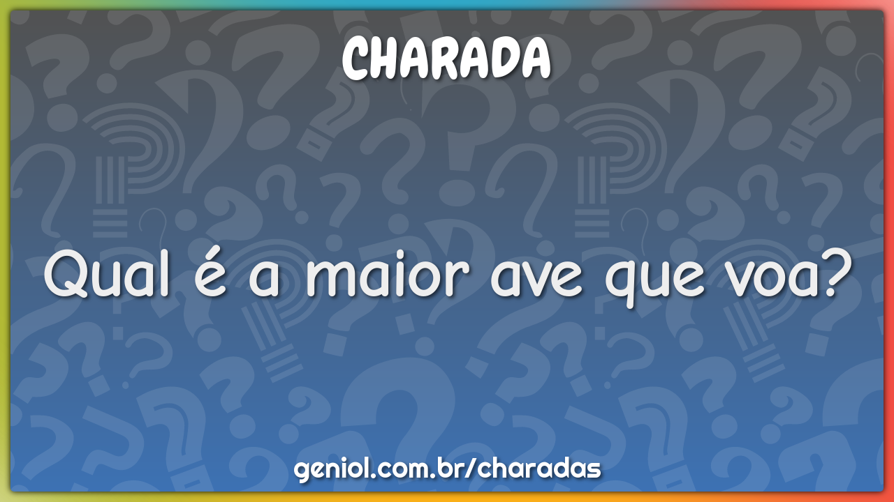 Qual é a maior ave que voa?