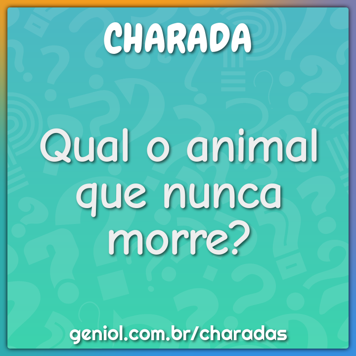 Qual o animal que nunca morre?