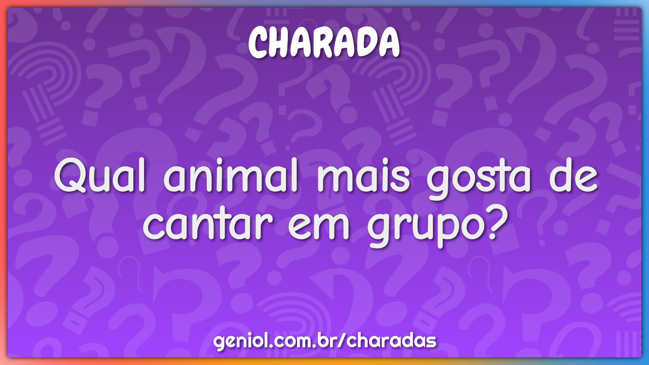 Qual animal mais gosta de cantar em grupo?