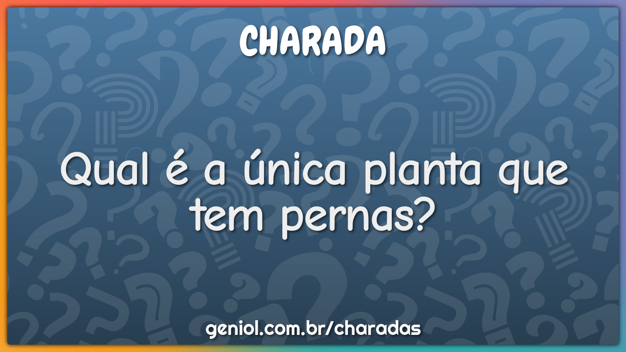 Qual é a única planta que tem pernas?