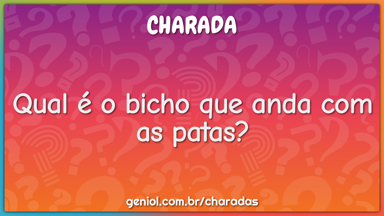 Qual é o bicho que anda com as patas?