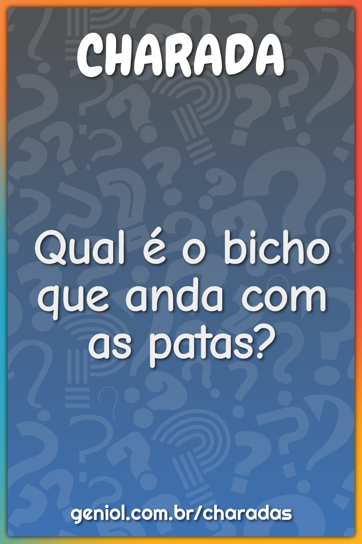 Qual é o bicho que anda com as patas?