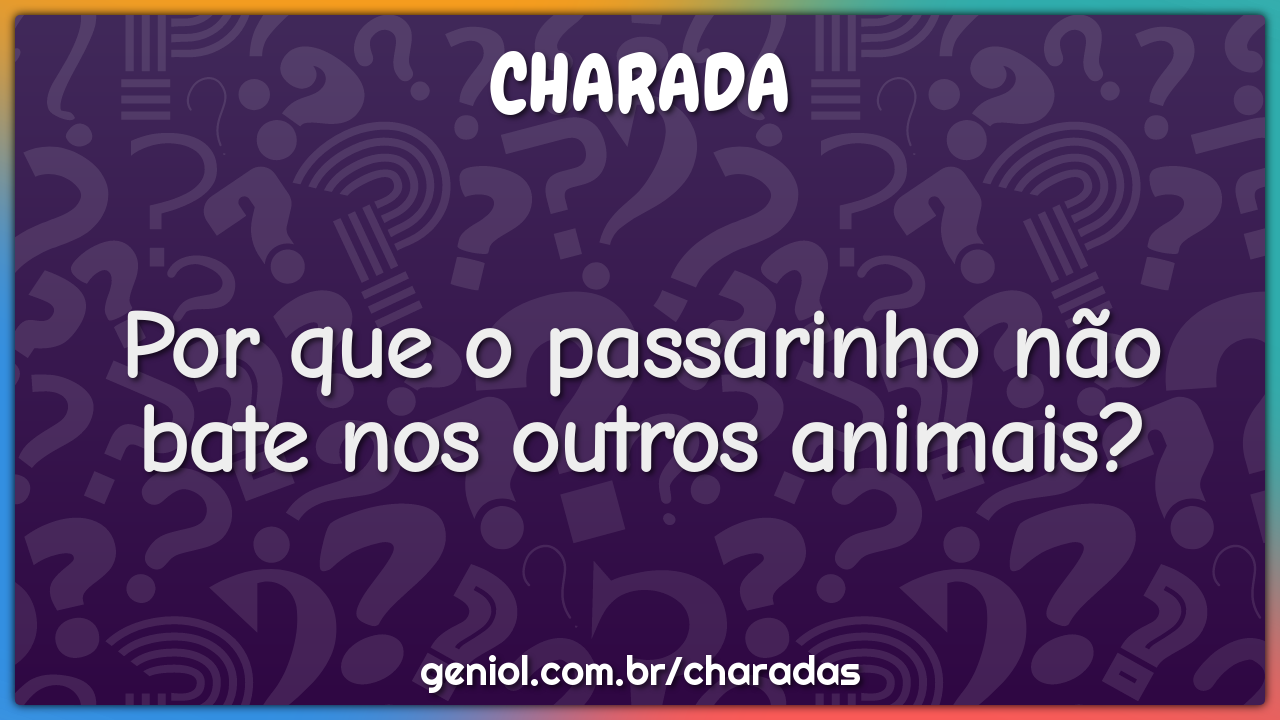 Por que o passarinho não bate nos outros animais?