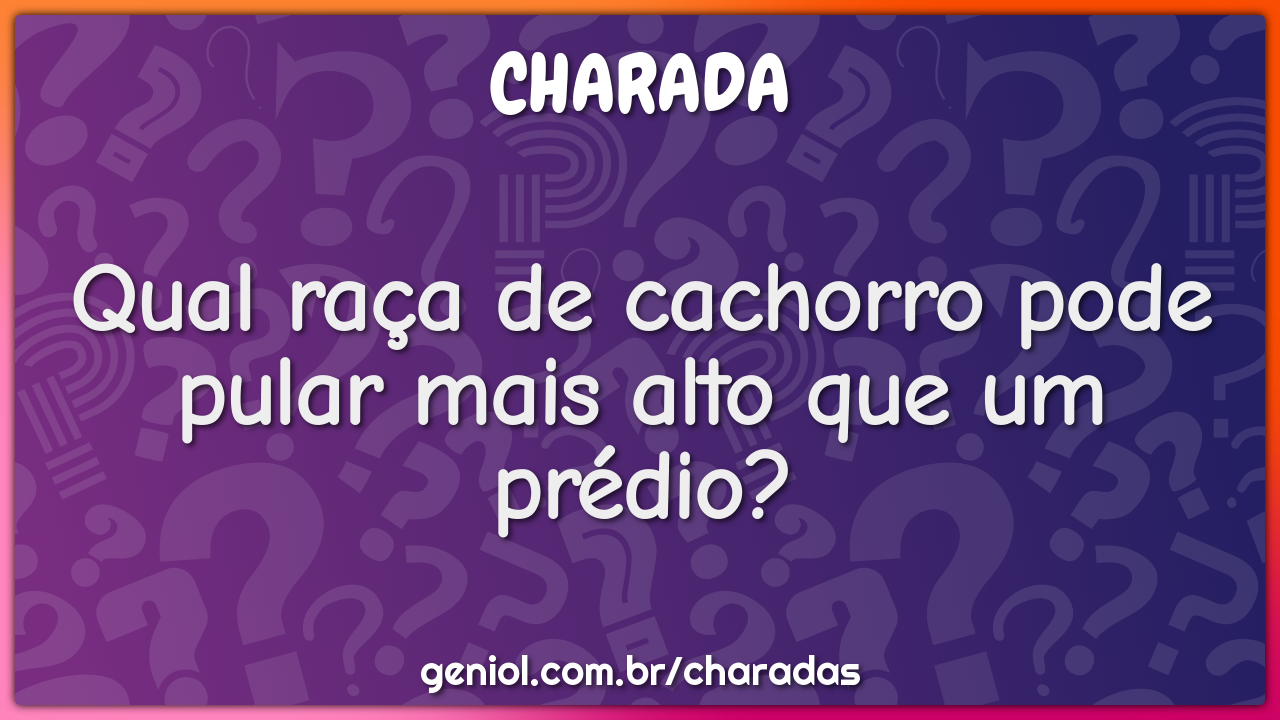 Qual raça de cachorro pode pular mais alto que um prédio?