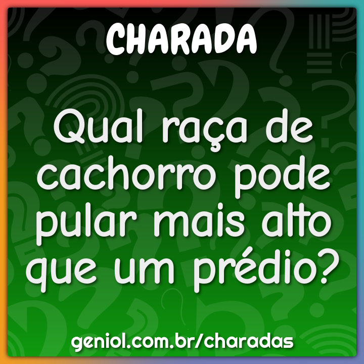 Qual raça de cachorro pode pular mais alto que um prédio?
