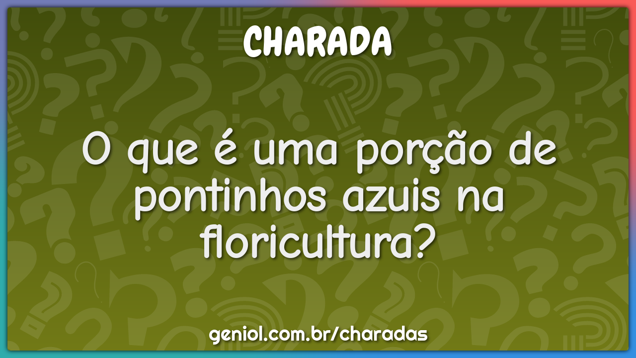 O que é uma porção de pontinhos azuis na floricultura? - Charada e