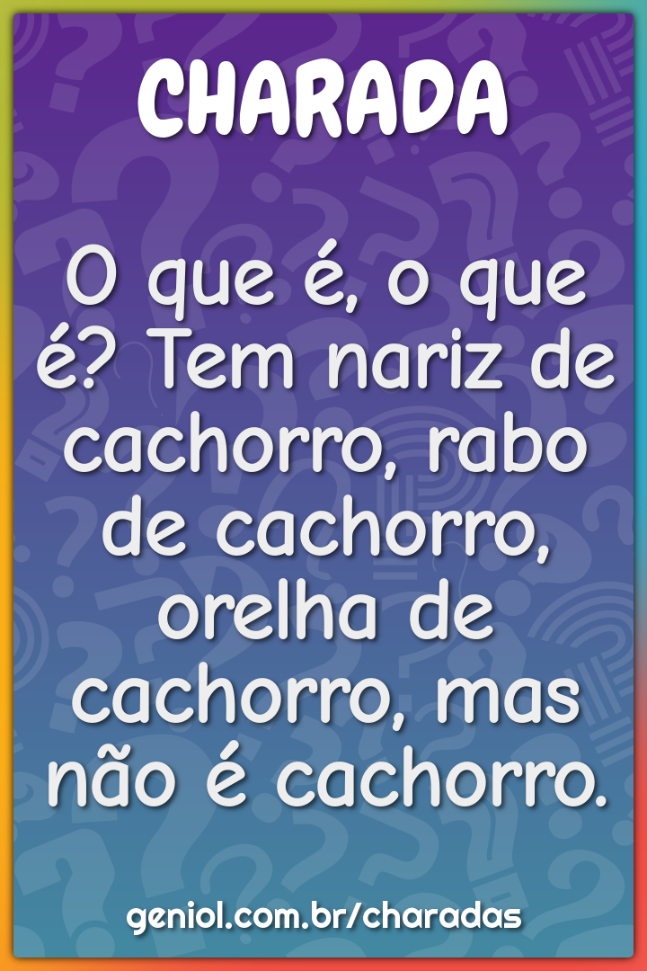 O que é, o que é? Tem nariz de cachorro, rabo de cachorro, orelha de...