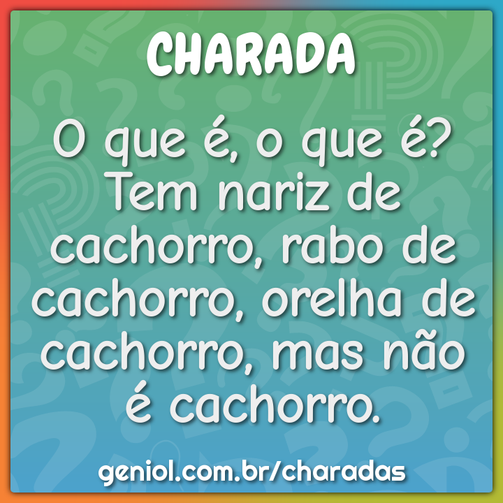 O que é, o que é? Tem nariz de cachorro, rabo de cachorro, orelha de...