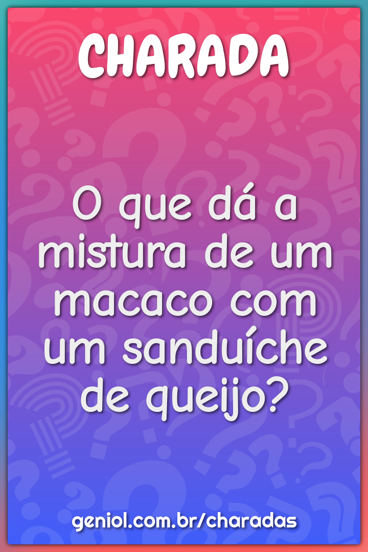 Qual o bairro de São Paulo que é frequentado pelos tatus que não tem -  Charada e Resposta - Geniol