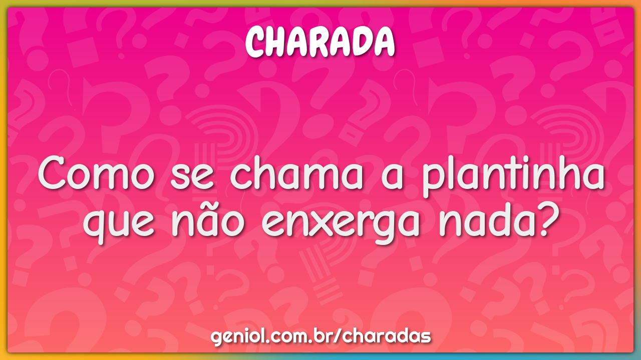 Como se chama a plantinha que não enxerga nada?