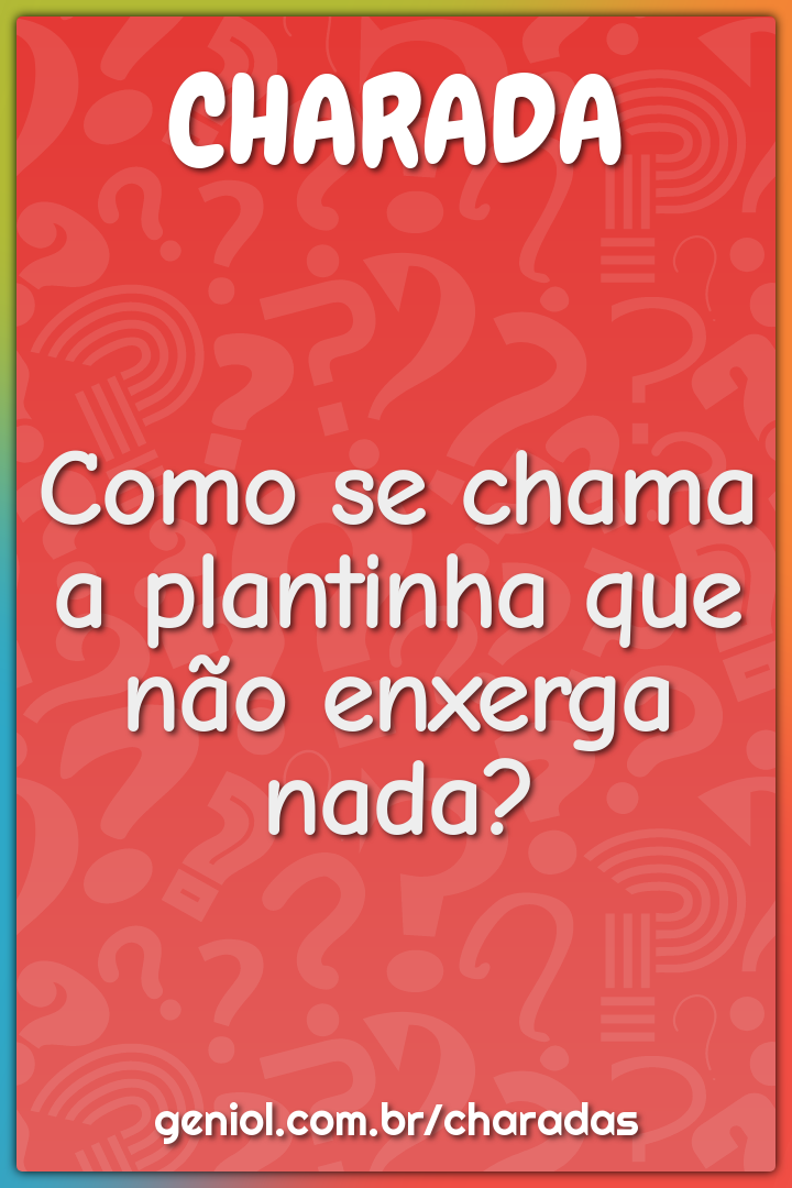 Como se chama a plantinha que não enxerga nada?