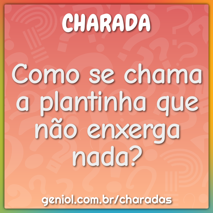 Como se chama a plantinha que não enxerga nada?