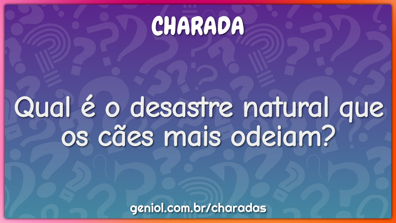 Qual é o desastre natural que os cães mais odeiam?
