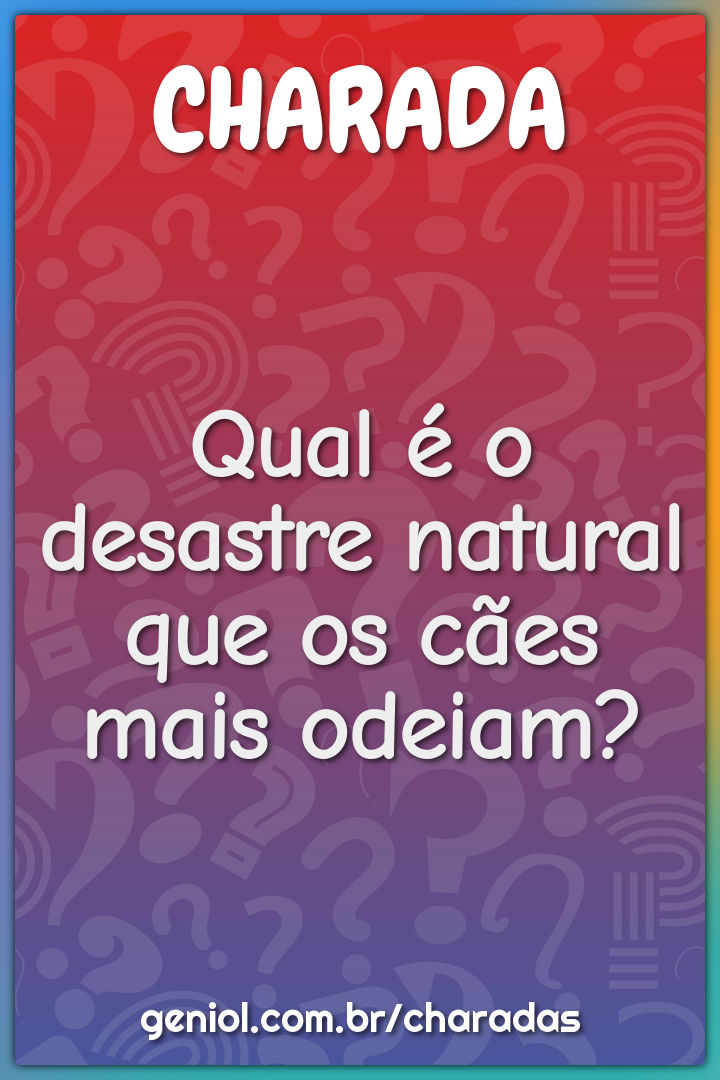 Qual é o desastre natural que os cães mais odeiam?