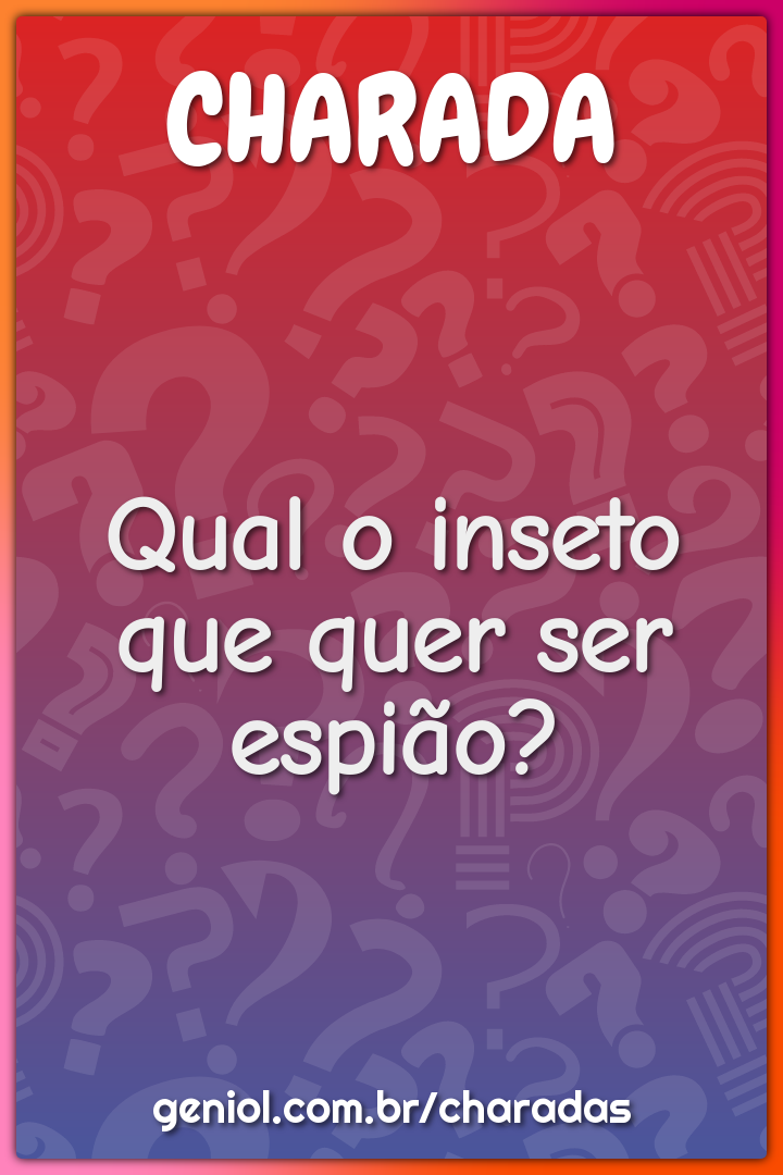 Qual o inseto que quer ser espião?