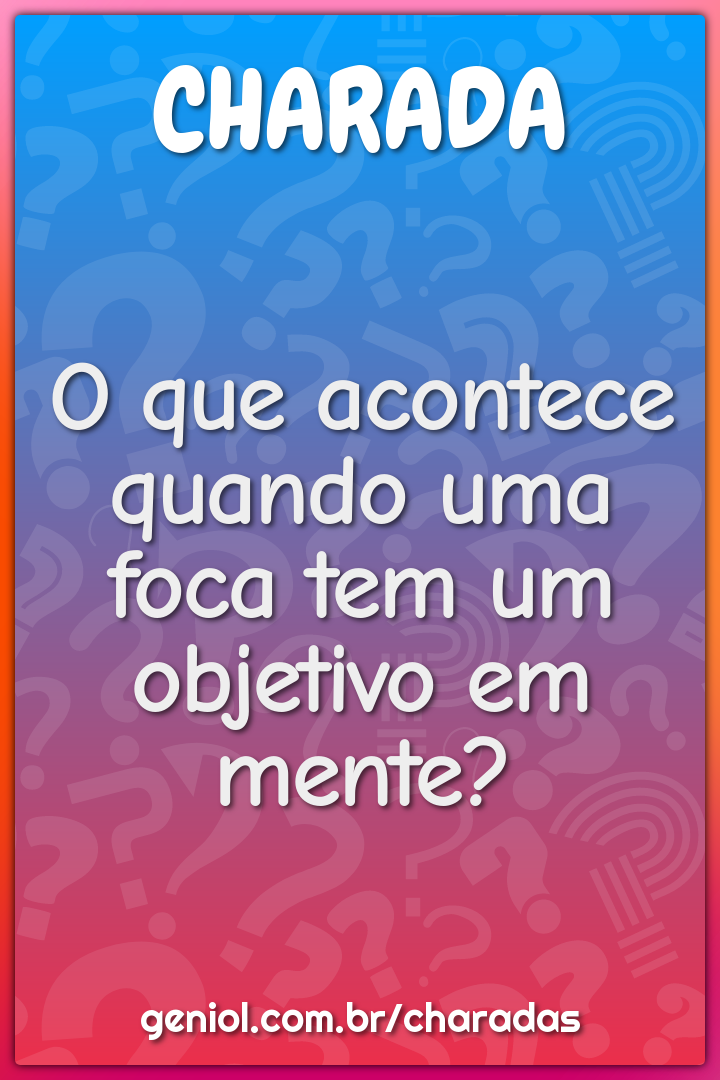 O que acontece quando uma foca tem um objetivo em mente?