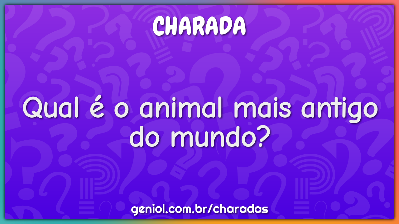 Qual o lugar mais velho do Brasil? - Charada e Resposta - Geniol