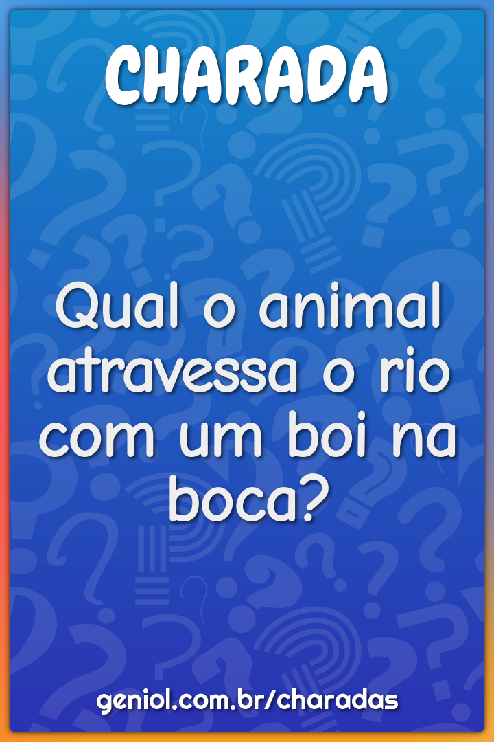 O que é um dente num recipiente com água? - Charada e Resposta - Geniol