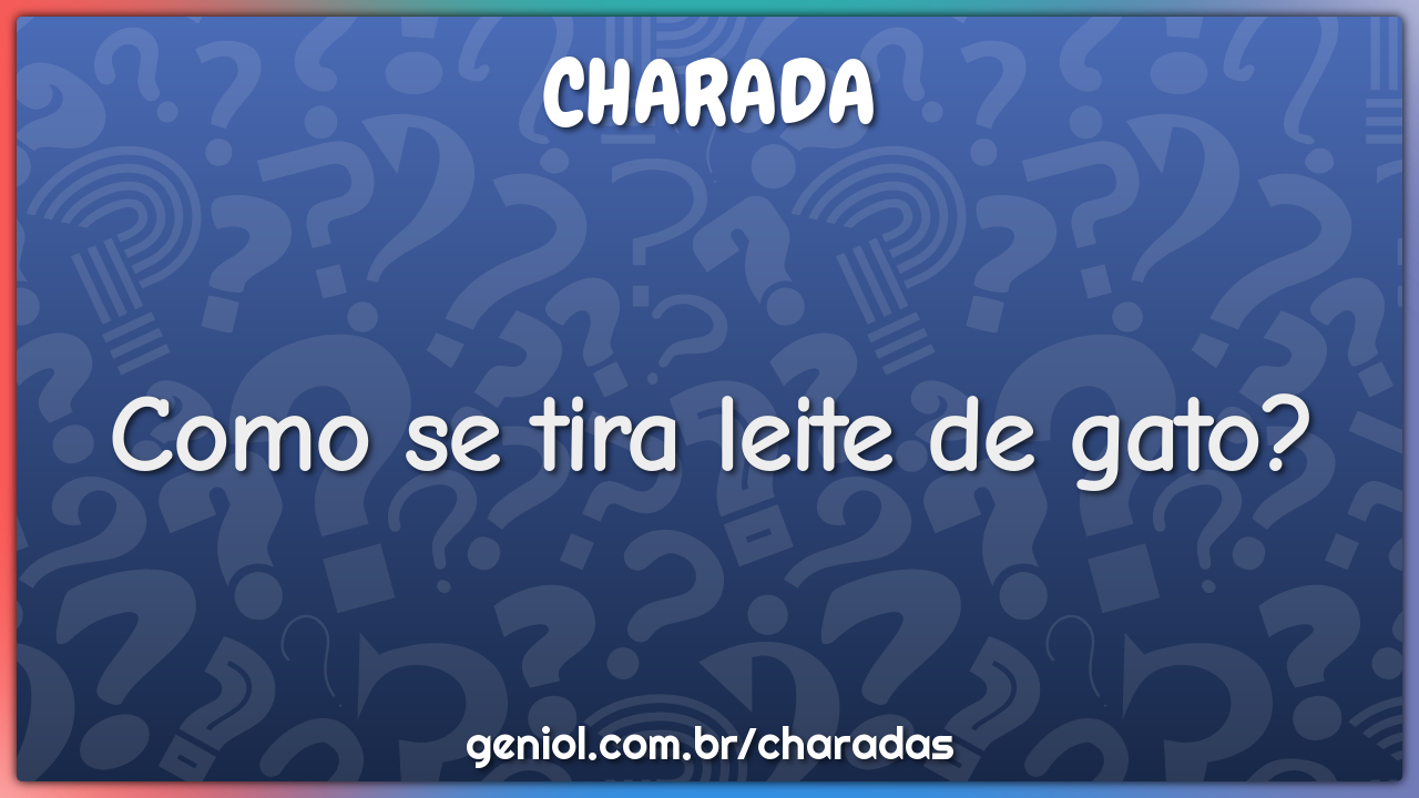 Como se tira leite de gato?