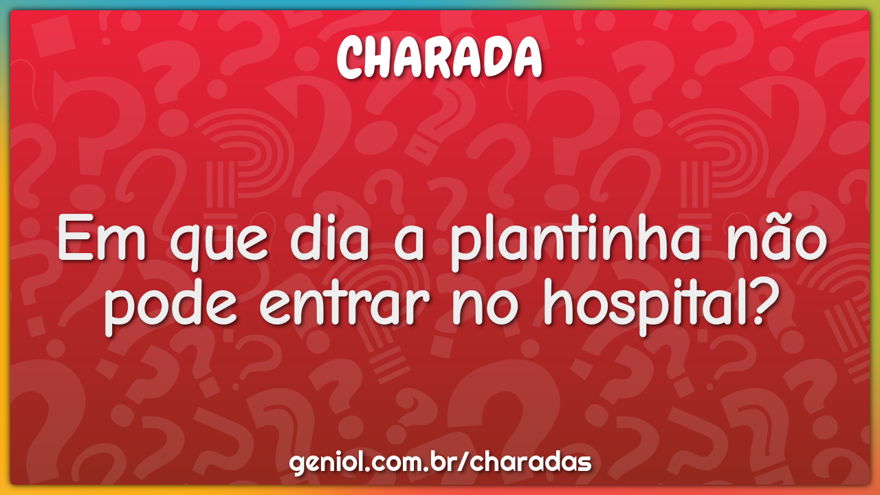 Em que dia a plantinha não pode entrar no hospital?