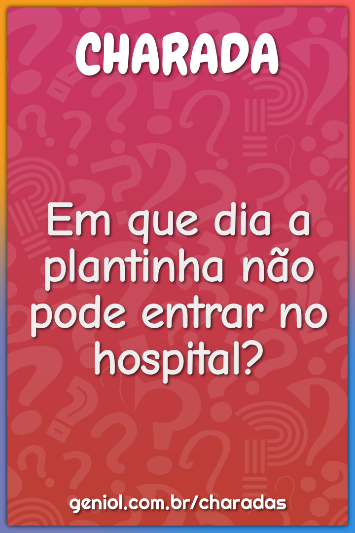 Em que dia a plantinha não pode entrar no hospital?