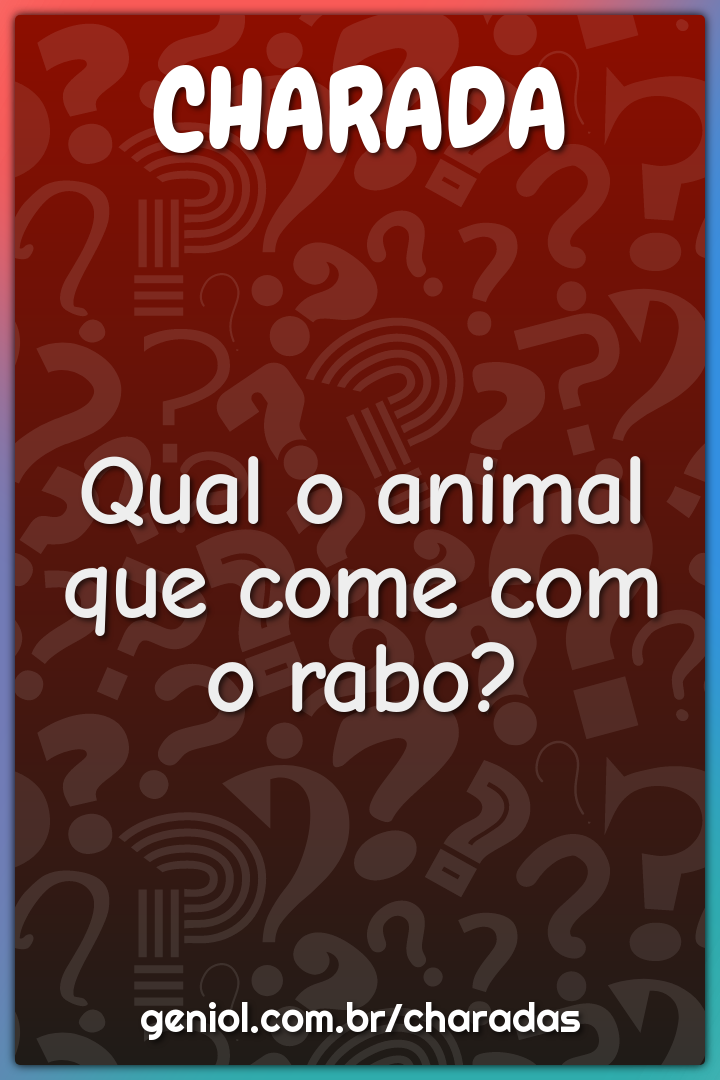 Qual o animal que come com o rabo?