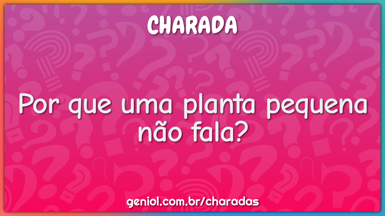 Por que uma planta pequena não fala?