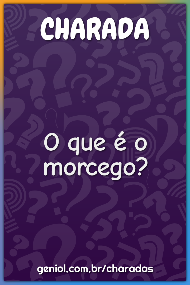 O que é o morcego?