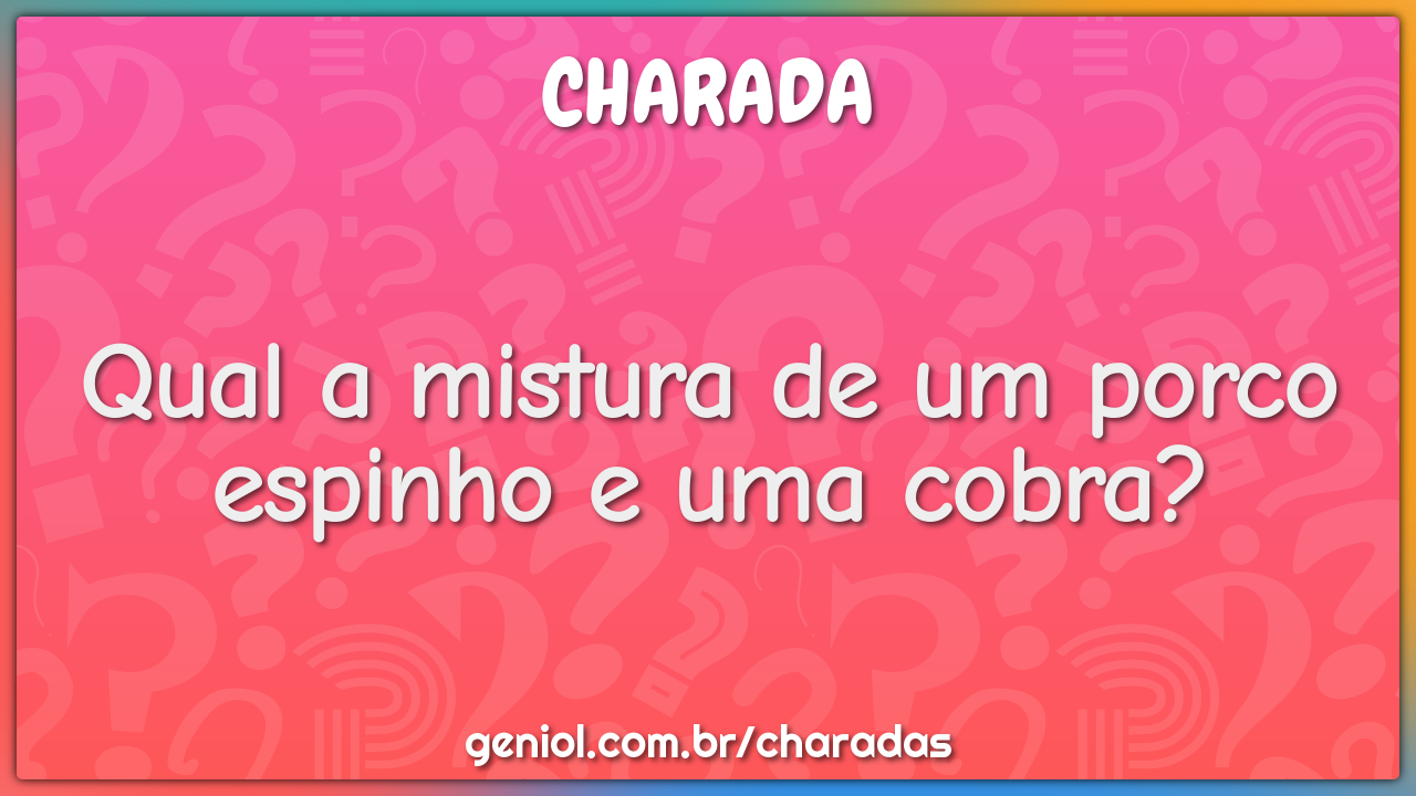 Qual a mistura de um porco espinho e uma cobra?