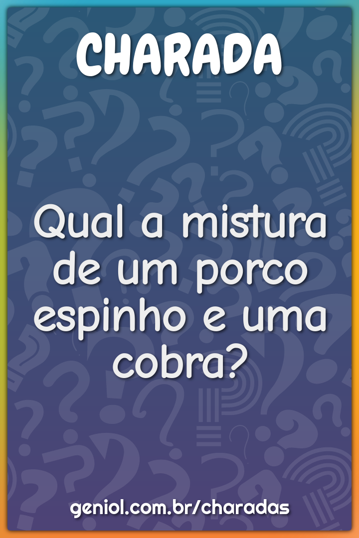 Qual a mistura de um porco espinho e uma cobra?