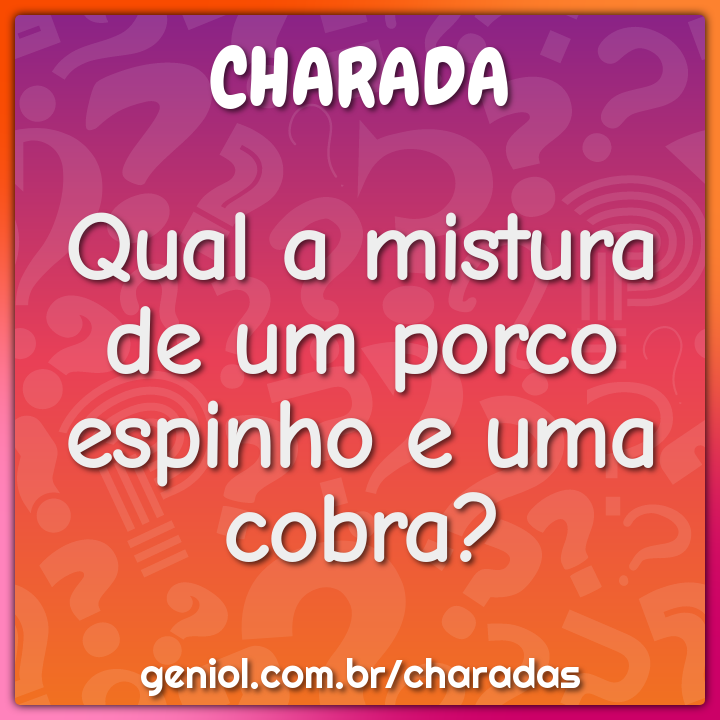 Qual a mistura de um porco espinho e uma cobra?