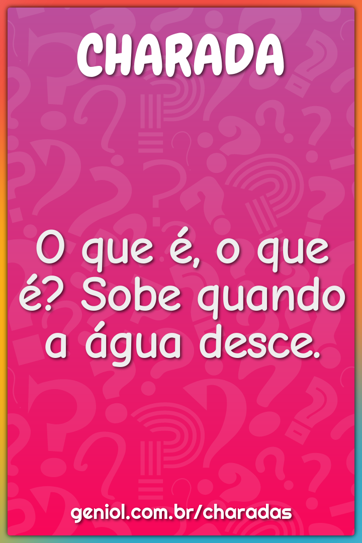 O que é, o que é? Sobe quando a água desce.