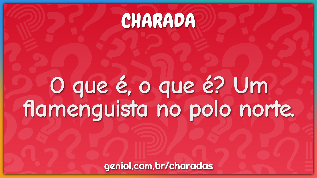 O que é, o que é? Um flamenguista no polo norte.