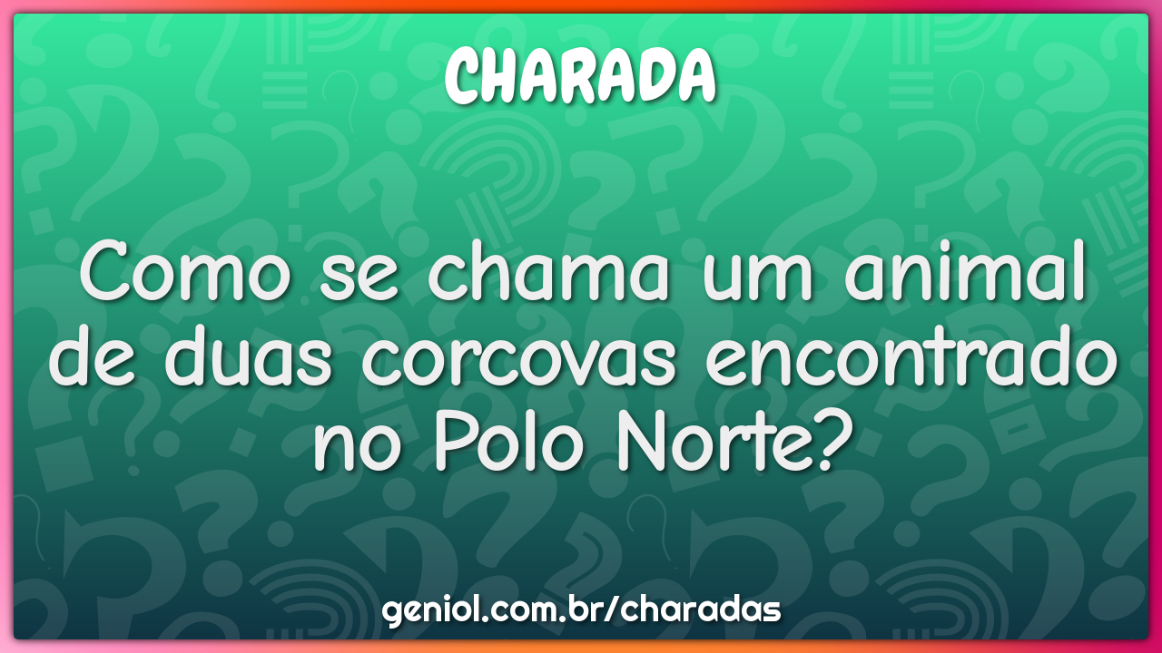 Como se chama um animal de duas corcovas encontrado no Polo Norte?