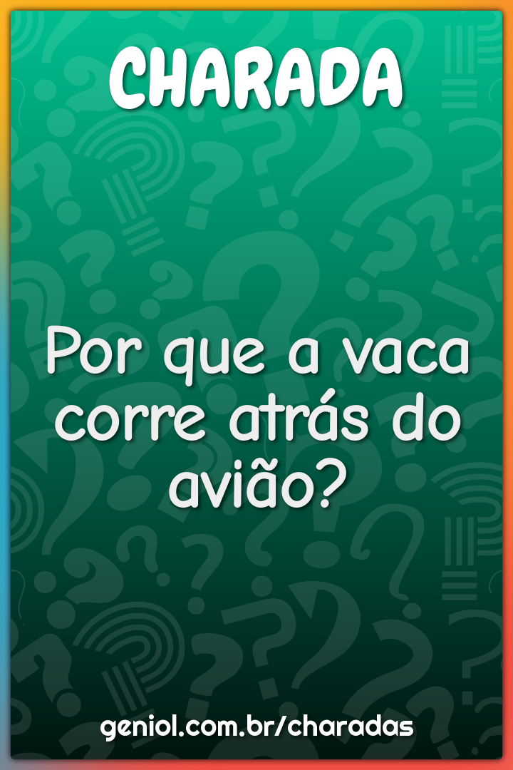 Por que a vaca corre atrás do avião?