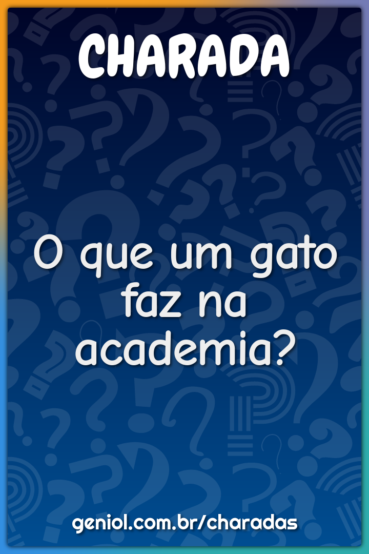 O que um gato faz na academia?