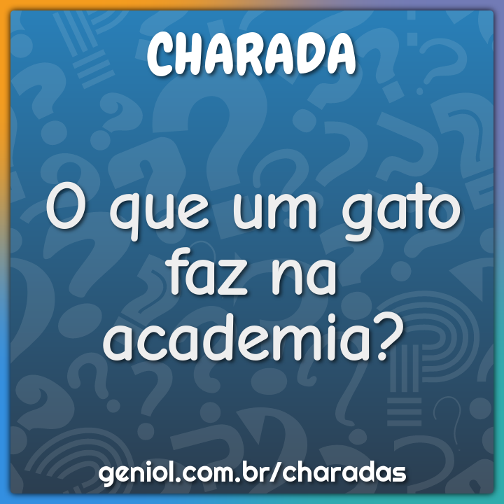 O que um gato faz na academia?