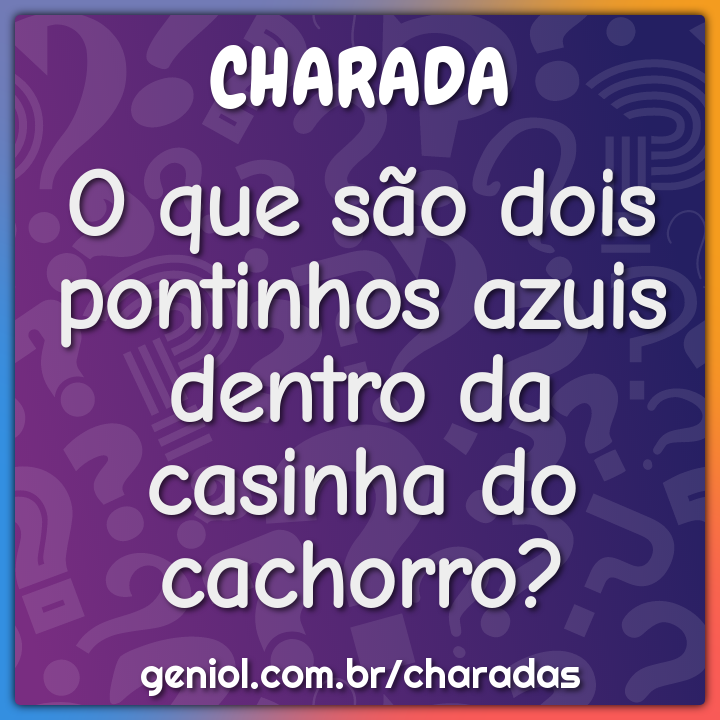 O que são dois pontinhos azuis dentro da casinha do cachorro?