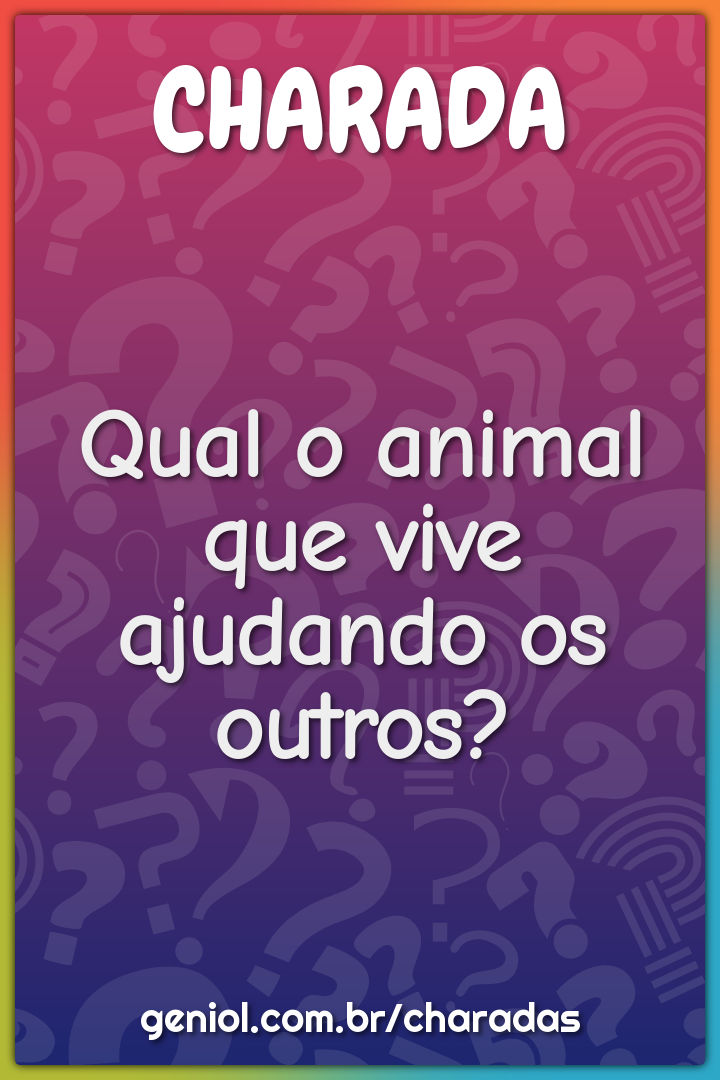 Qual o animal que vive ajudando os outros?