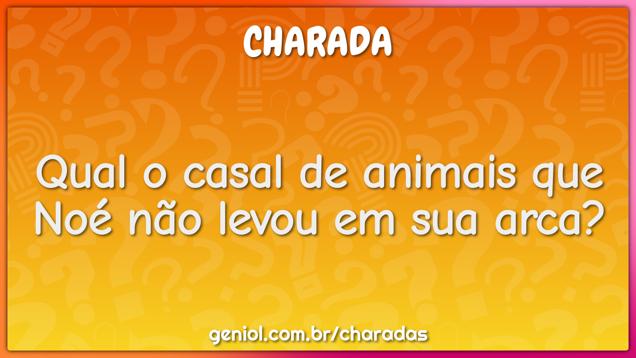 Qual o casal de animais que Noé não levou em sua arca?
