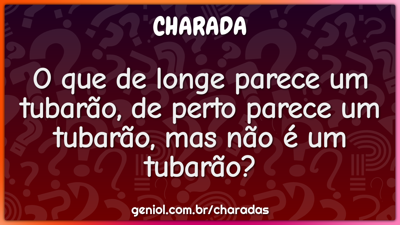 O que de longe parece um tubarão, de perto parece um tubarão, mas não...