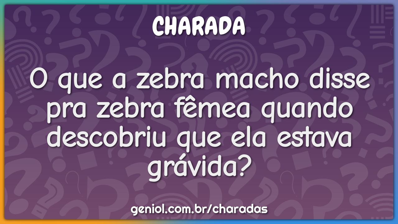 O que a zebra macho disse pra zebra fêmea quando descobriu que ela...