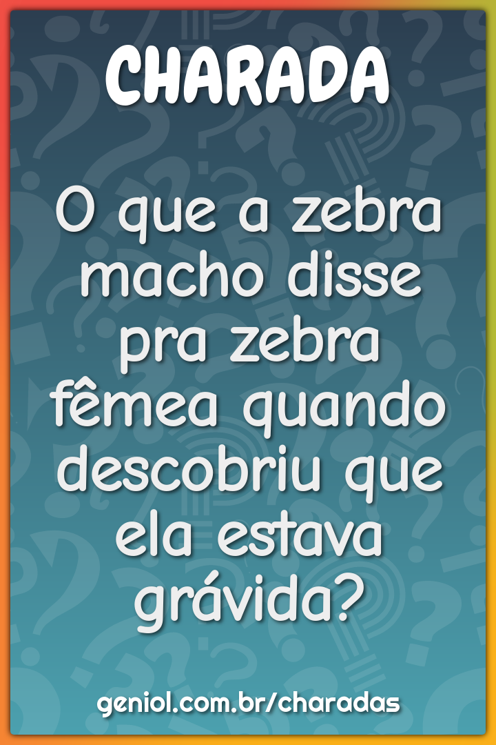 O que a zebra macho disse pra zebra fêmea quando descobriu que ela...