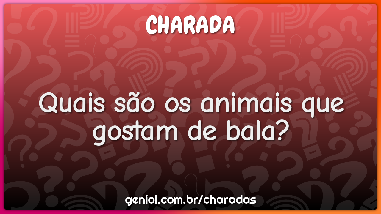 Quais são os animais que gostam de bala? - Charada e Resposta - Geniol