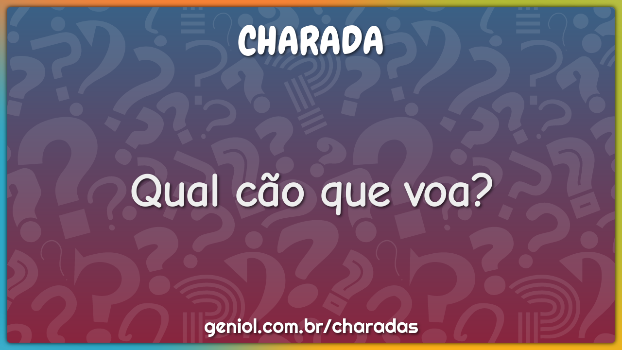 Qual cão que voa?