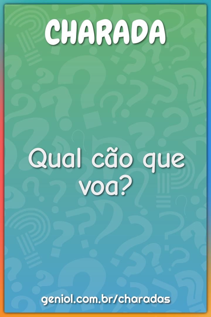 Qual cão que voa?