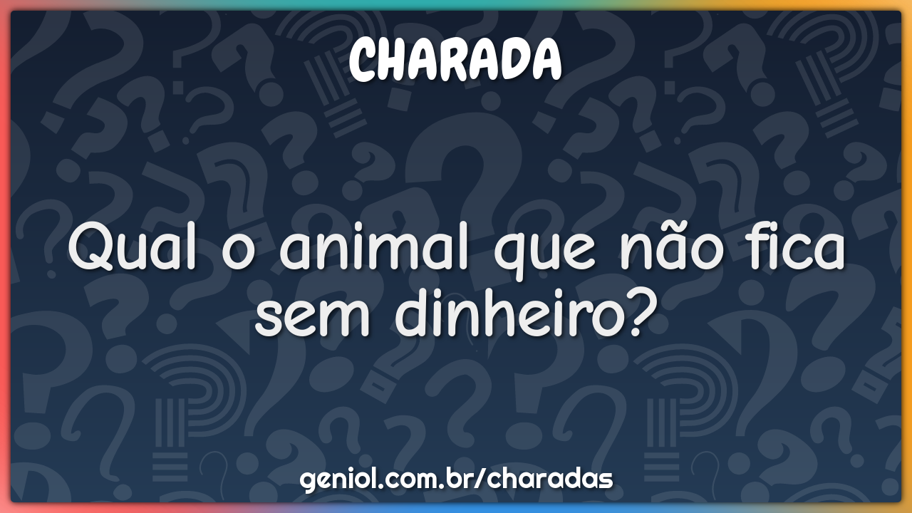 Qual o animal que não fica sem dinheiro?